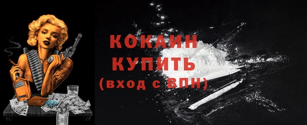 соль ск Гусь-Хрустальный