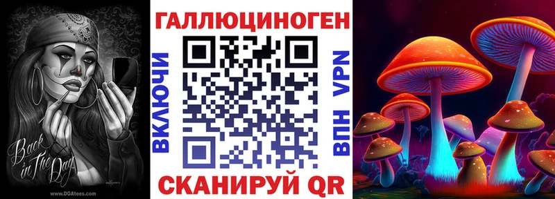 блэк спрут рабочий сайт  Зубцов  Псилоцибиновые грибы Psilocybe 
